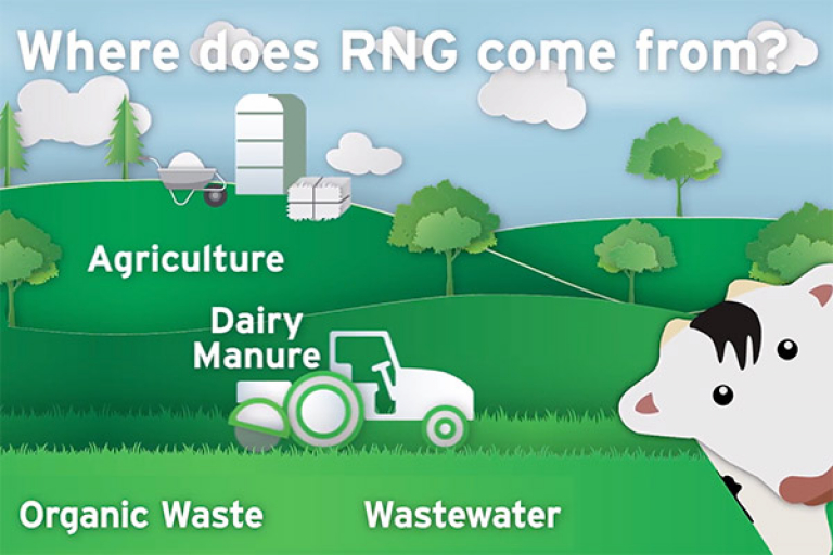 Where does RNG come from?